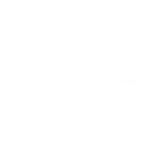 Bridges