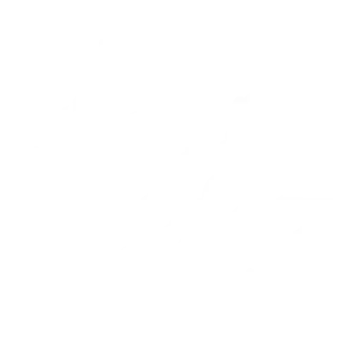 Program & Cost Management